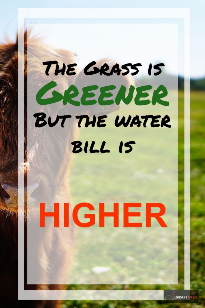 Check out this post on how the grass is greener but the waterfall is higher!