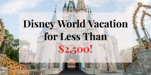 Always wanted to go to Disney but thought you can't afford to go? Check out our 6 tips on how we went to Disney for less than $2,500!